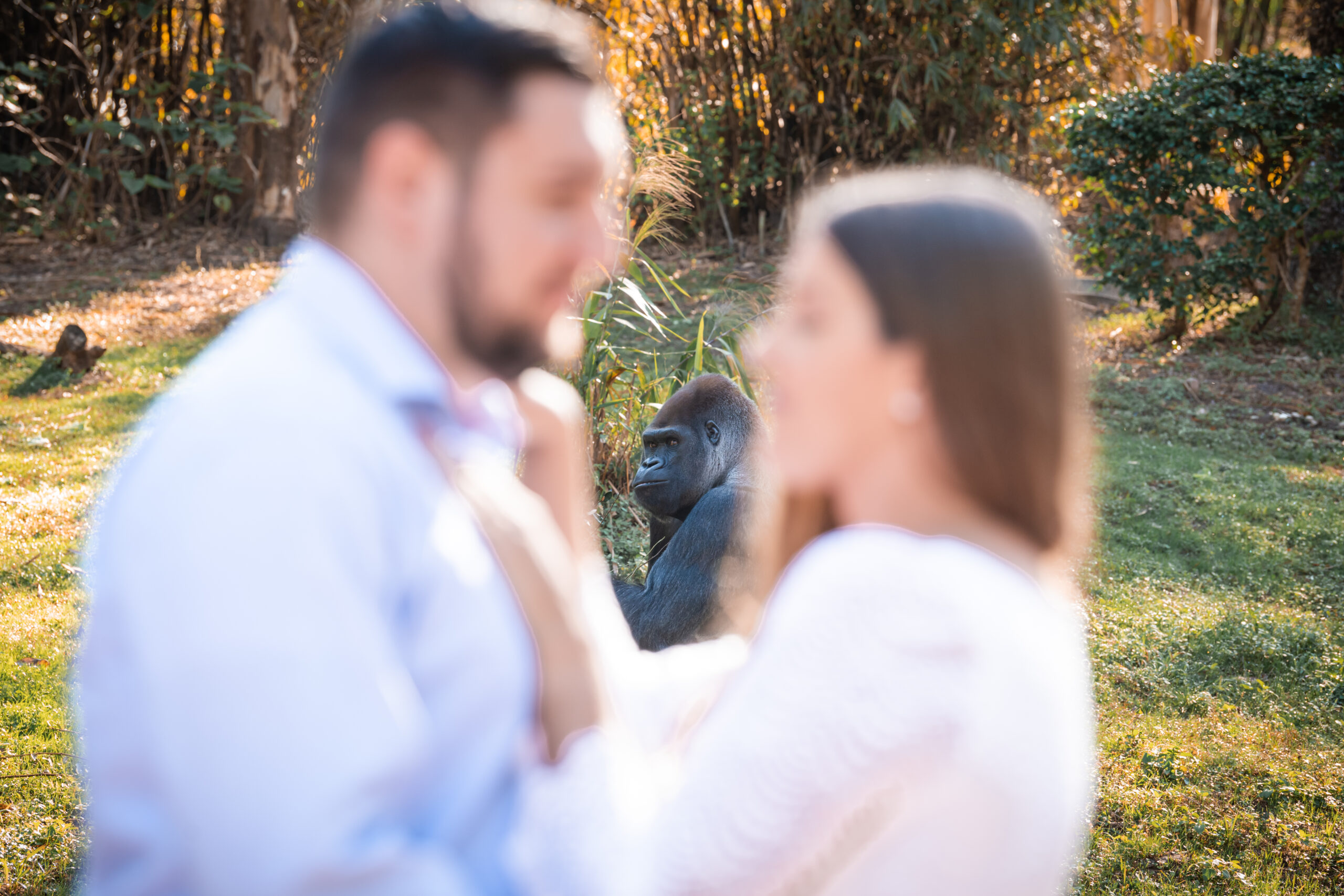Nick and Lindsey’s engagement session at Disney’s Animal Kingdom by Disney engagement photographer Bella Grey