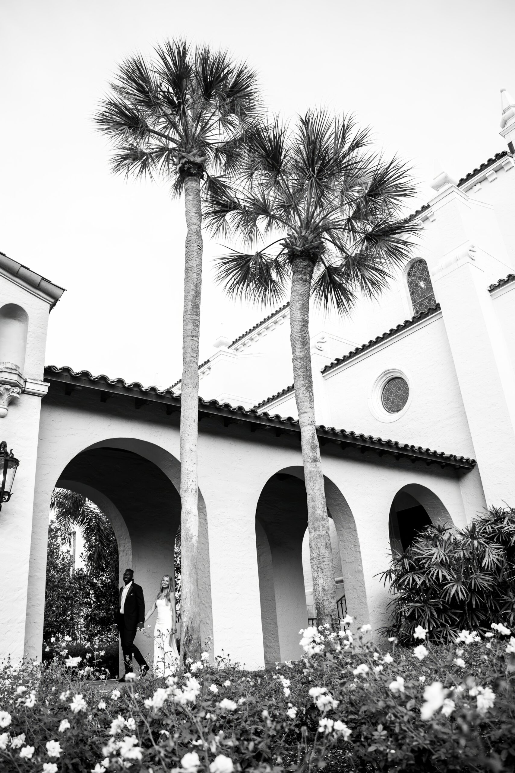 Bg tronandolivia 166