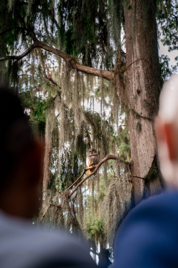 An owl watches over Ben and Leo during their Kraft Azalea Garden elopement